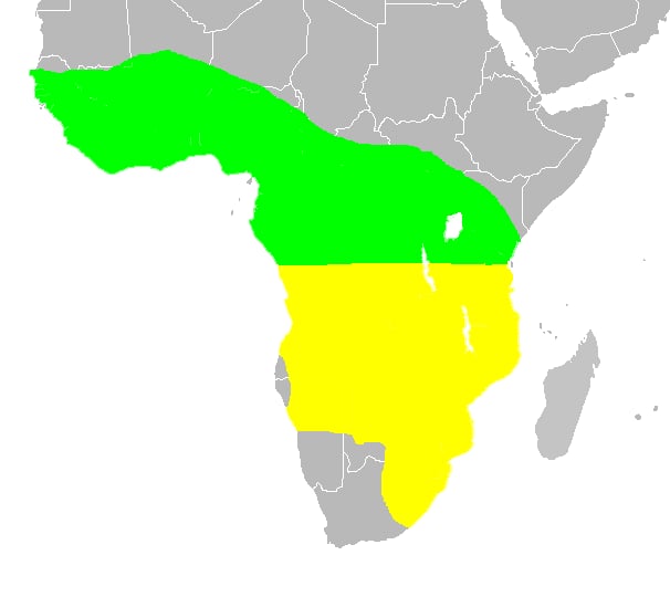 Range map of African crake