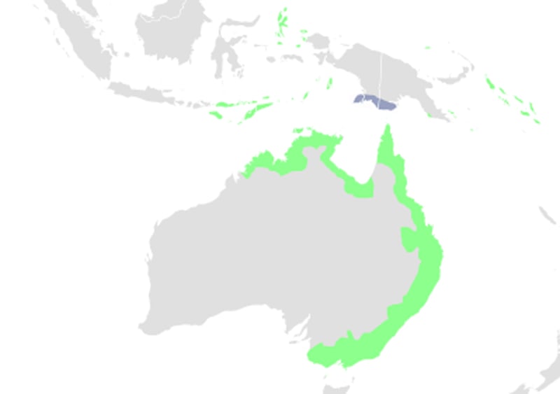 Range map of Australian rufous fantail