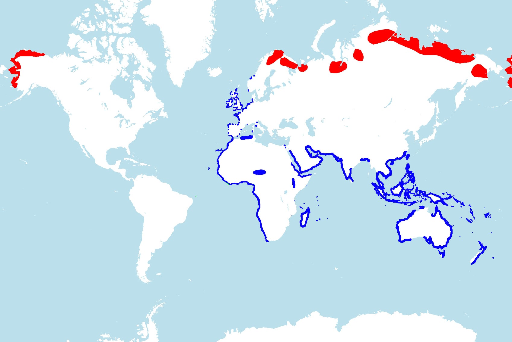 Range map of Bar-tailed godwit