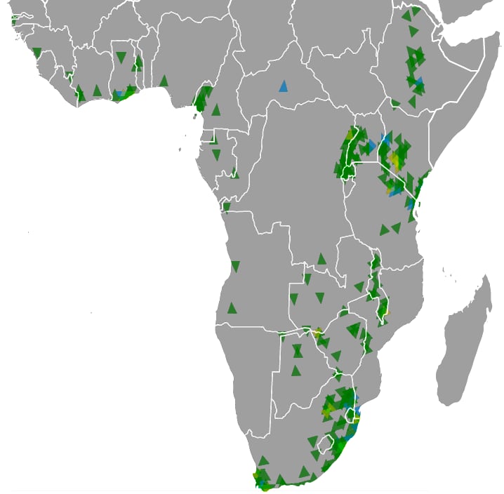 Range map of Black sparrowhawk