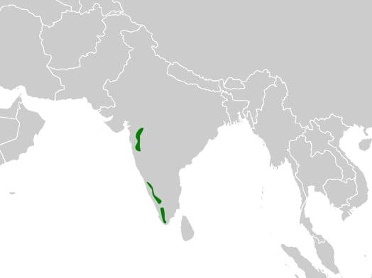 Range map of Broad-tailed grassbird