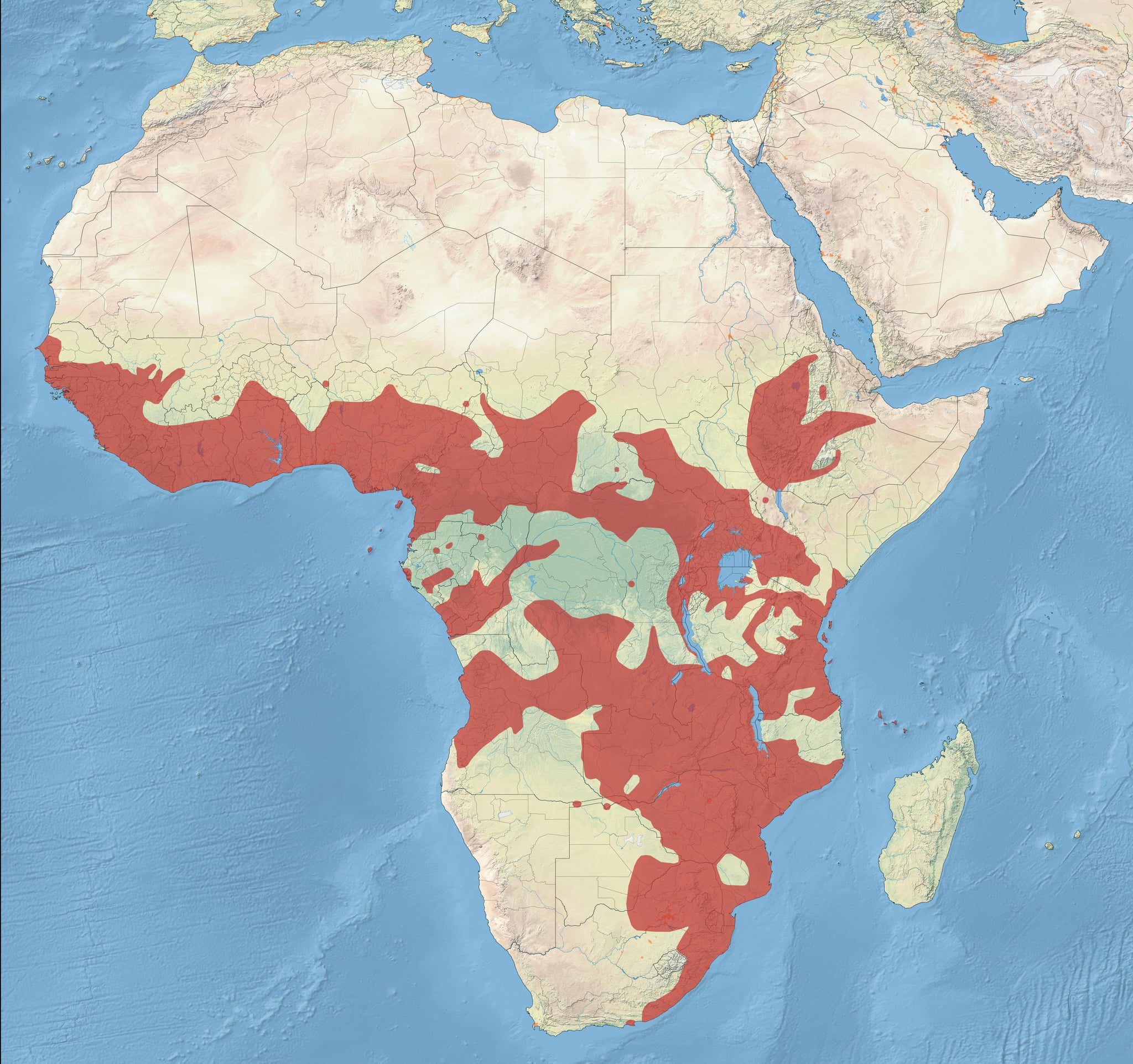 Range map of Bronze mannikin