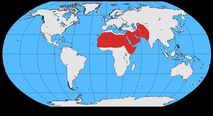 Range map of Brown-necked raven