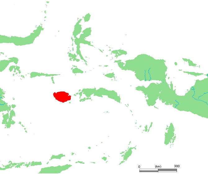 Range map of Buru racket-tail
