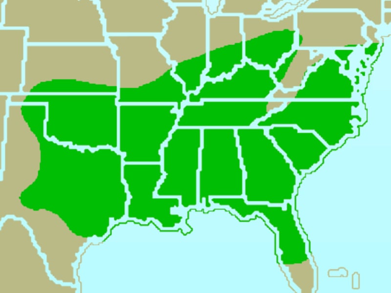 Range map of Carolina chickadee
