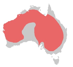 Range map of Cockatiel