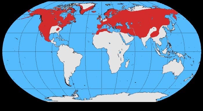 Range map of Common raven
