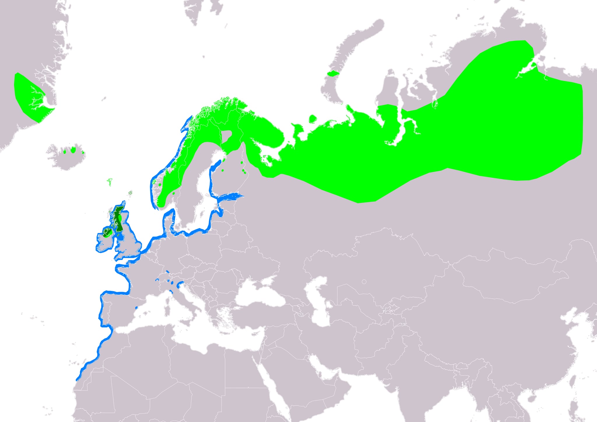Range map of Common scoter