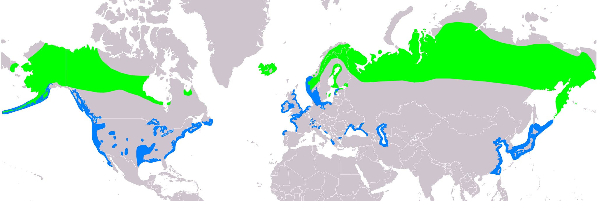 Range map of Greater scaup