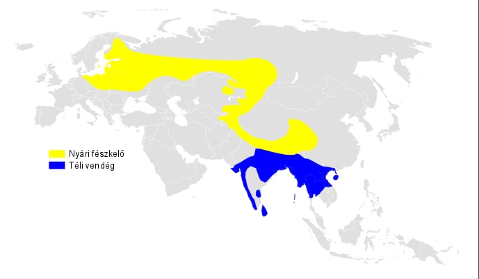 Range map of Greenish warbler