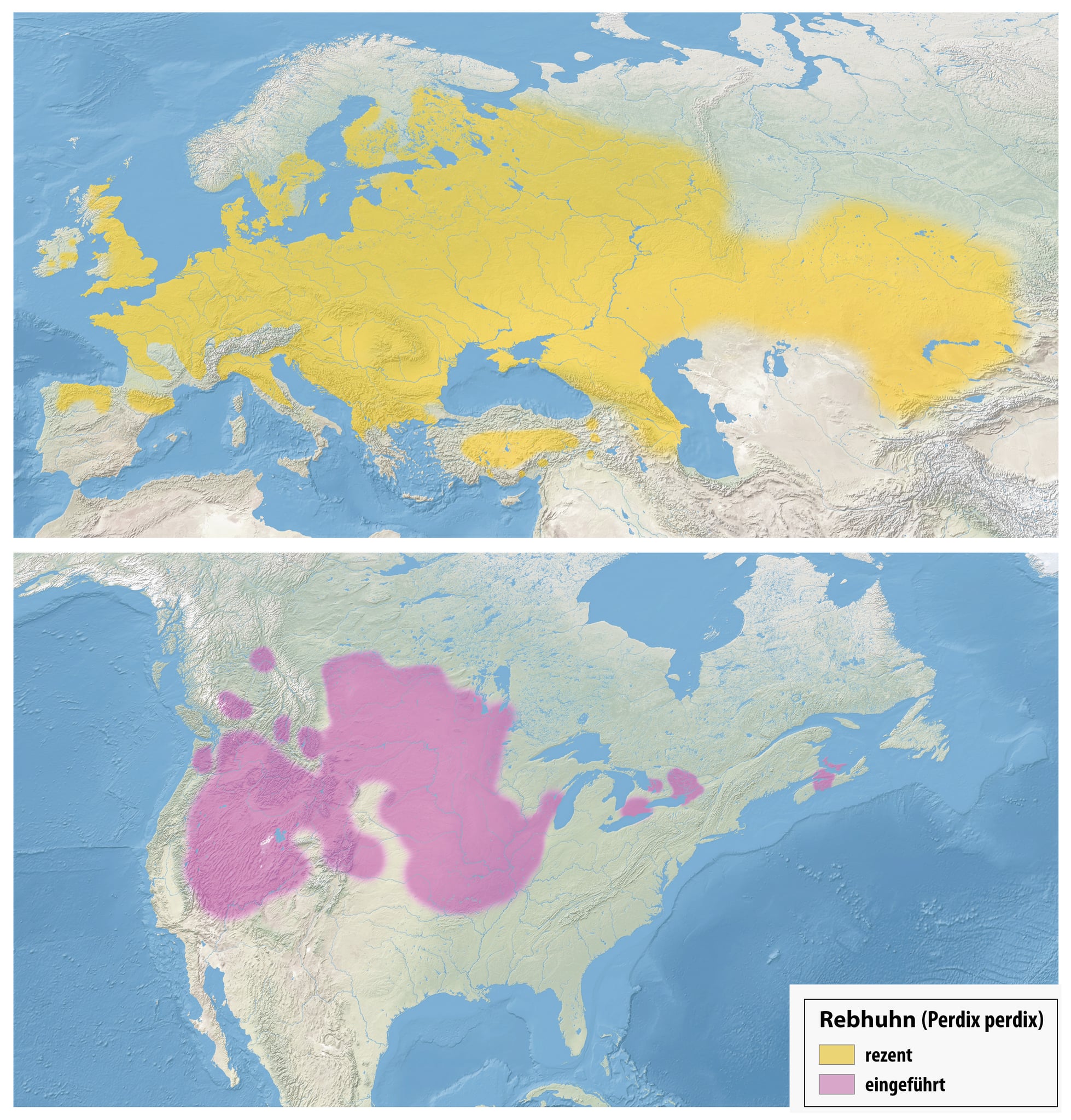 Range map of Grey partridge