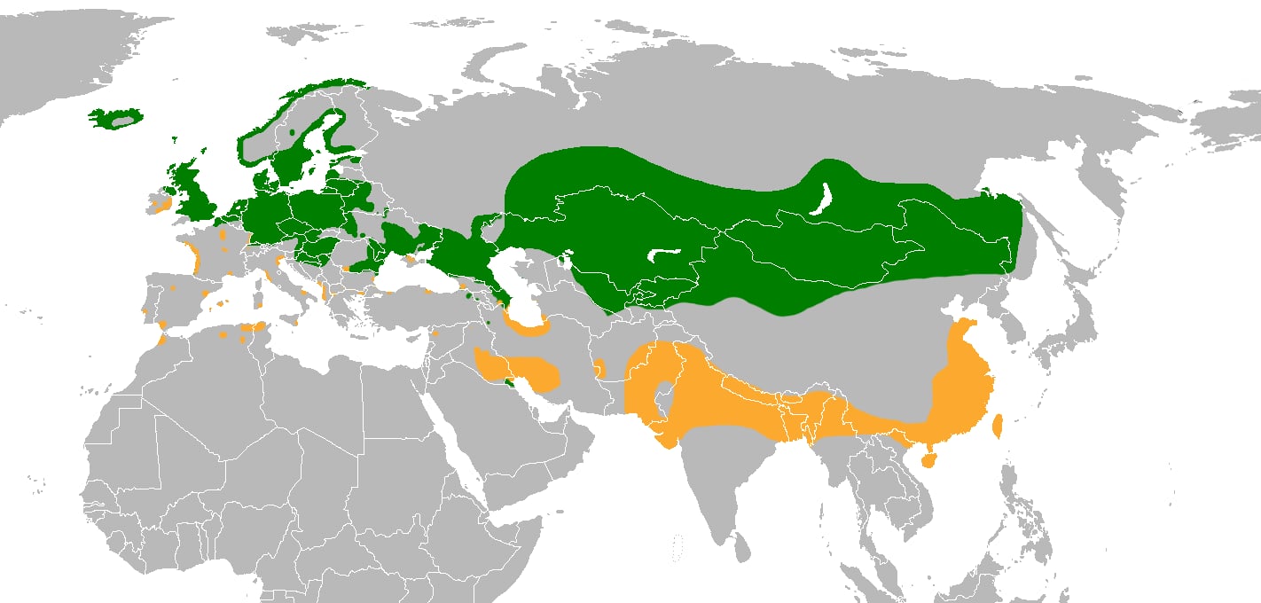 Range map of Greylag goose