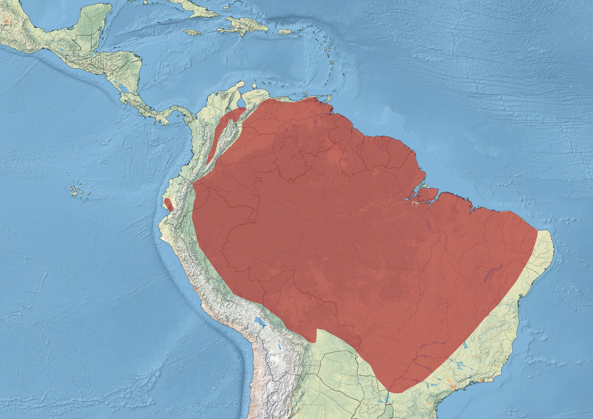 Range map of Horned screamer