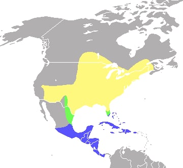 Range map of Indigo bunting