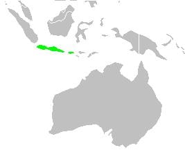 Range map of Java sparrow