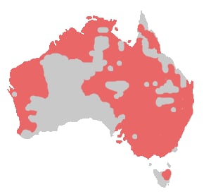 Range map of Little corella