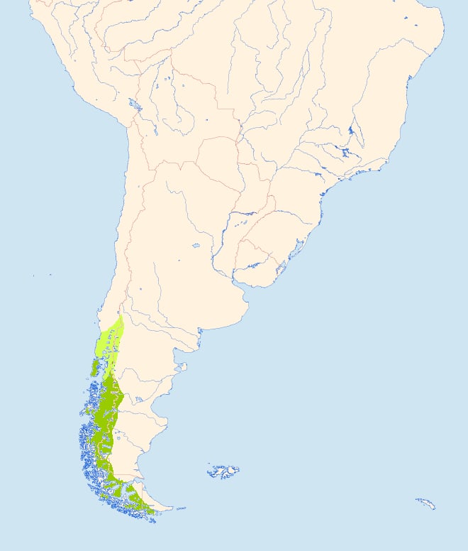 Range map of Magellanic woodpecker