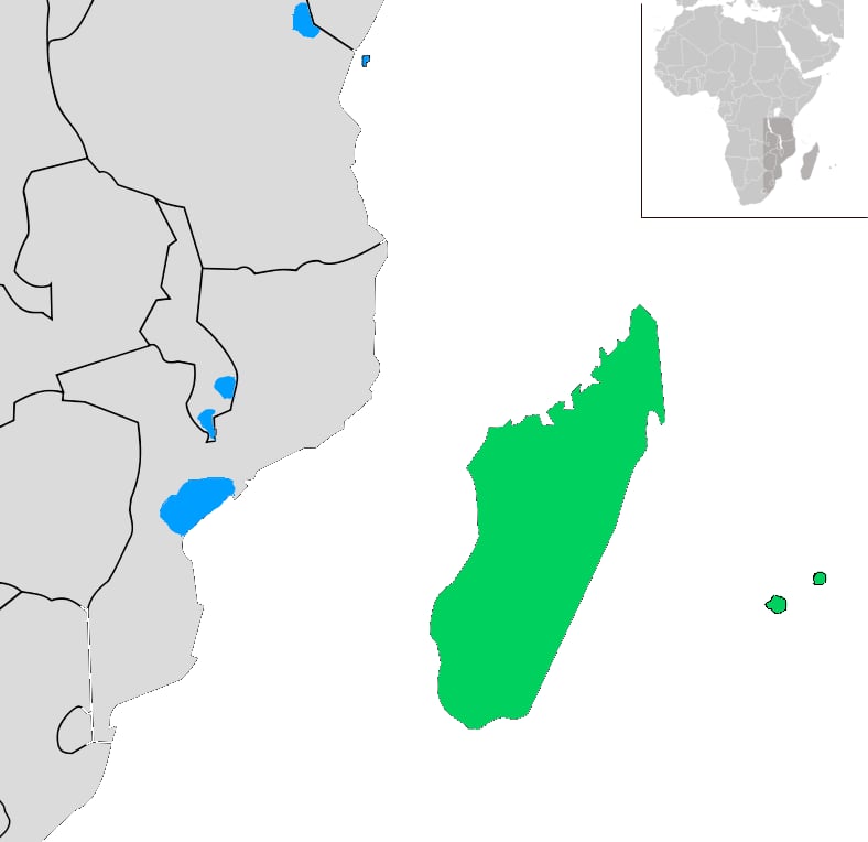 Range map of Mascarene martin