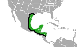 Range map of Plain chachalaca