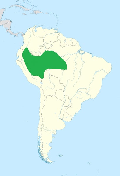 Range map of Purple-throated cotinga