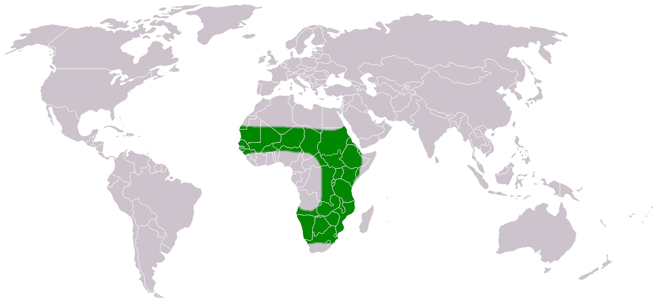 Range map of Red-billed quelea