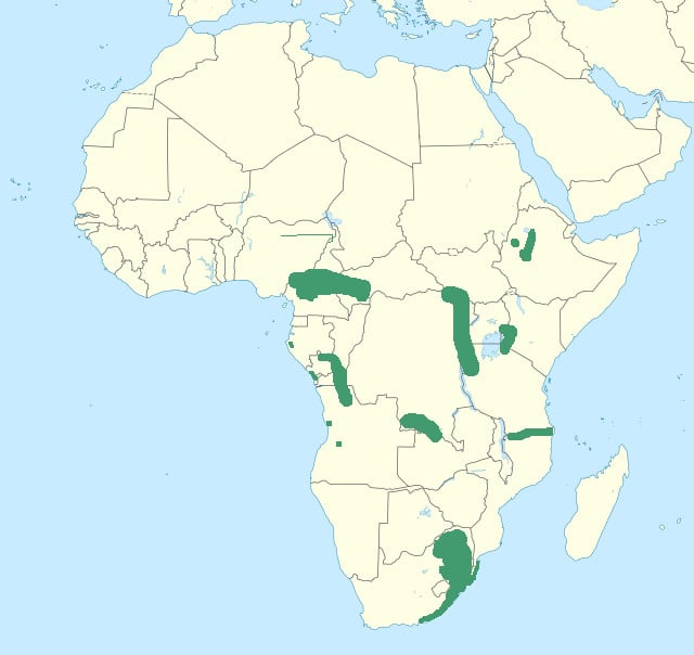 Range map of Red-throated wryneck