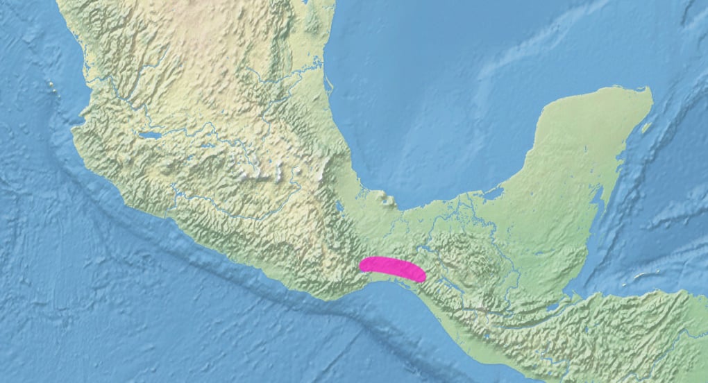 Range map of Rose-bellied bunting