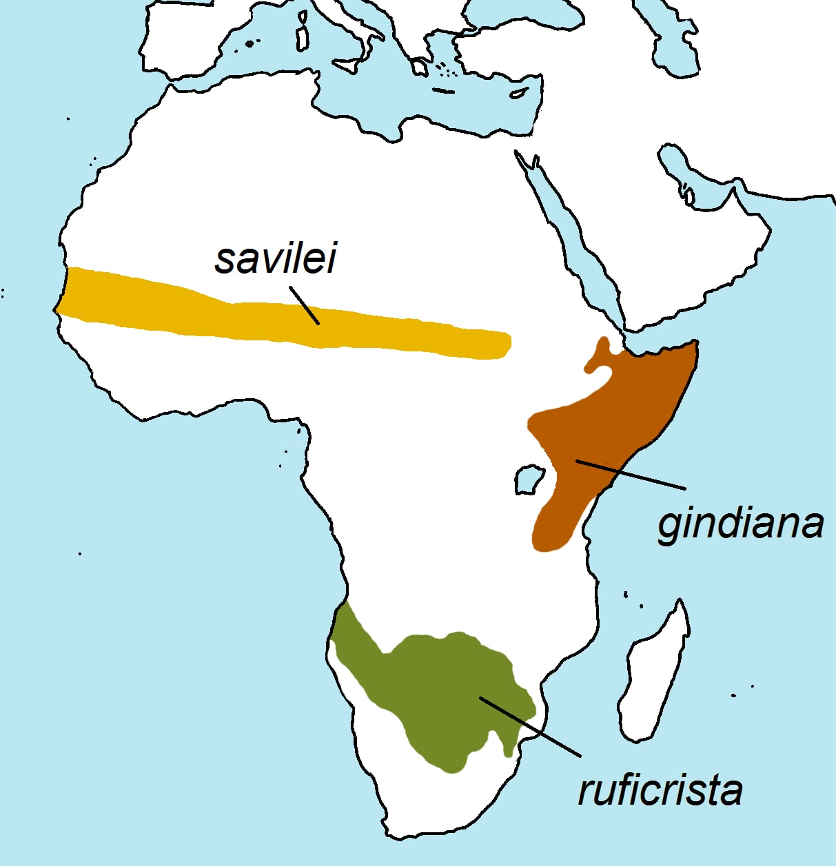 Range map of Savile's bustard