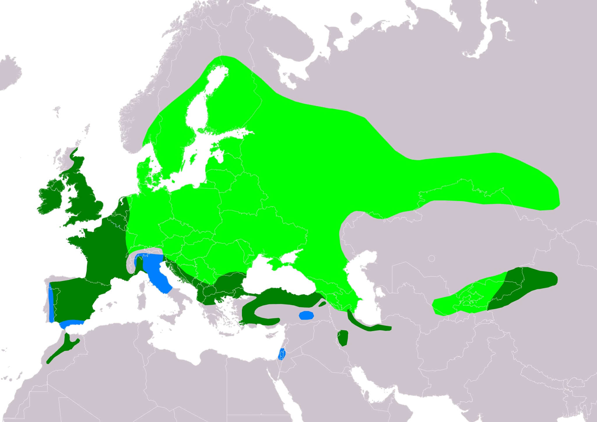 Range map of Stock dove