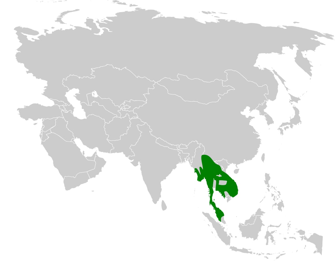 Range map of Stripe-throated bulbul