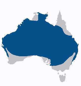 Range map of Variegated fairywren